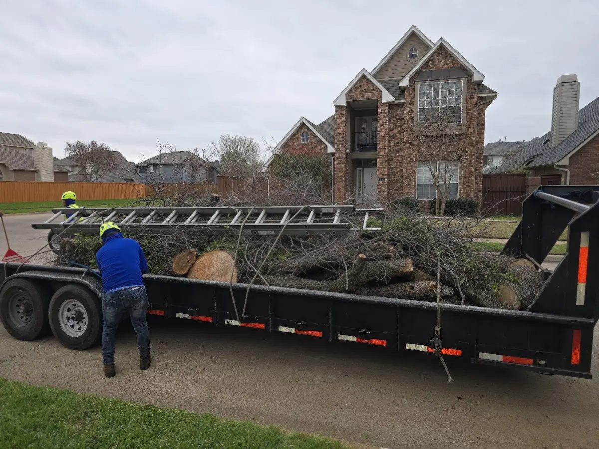 Expert Tree Fertilization with proper safety equipment in Center